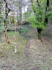 Hiking paths - Photo of Domecy-sur-le-Vault
