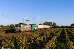 BB 7359 + BB 26063 - 489890 Sibelin > Bordeaux-Hourcade - Photo of Loupiac