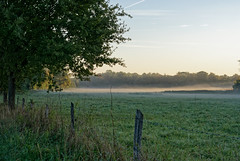 Morning mists - Photo of Huttenheim