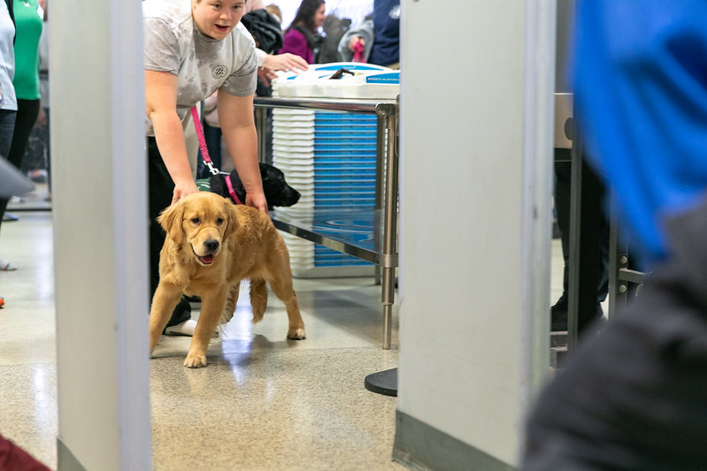 Seeing Eye Puppy Familiarization Event at PHL Airport