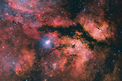 Barnard 347 - the Butterfly Nebula
