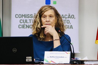 Audiência Pública para debater o projeto de obra lindeira ao Museu Júlio de Castilhos e a Lei 930/2021, que institui o Programa de Reabilitação do Centro Histórico