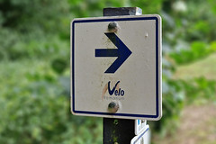 Velo Romanum sign
