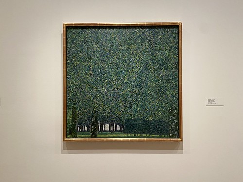 The Park by Gustav Klimt