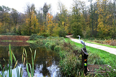 oizeau de bord de l-eau et du chemin - Photo of Béthemont-la-Forêt