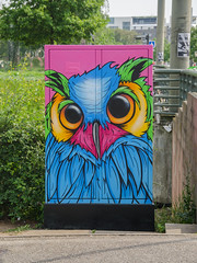 Le chouette street-art On the Owl - Photo of Vendenheim