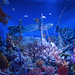 Sea Life Ocean World - Siam Paragon - Bangkok