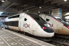 TGV 836 gare Montparnasse