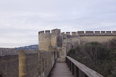 2079 - Photo of Villeneuve-lès-Avignon