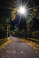 Nuit d’automne