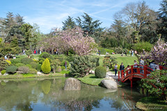 Toulouse : le jardin japonais Pierre-Baudis
