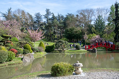 Toulouse : le jardin japonais Pierre-Baudis
