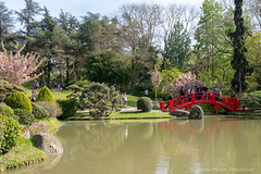 Toulouse : le jardin japonais Pierre-Baudis - Photo of Lespinasse
