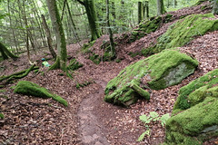 Forest path near la Petite-Pierre - Photo of Zilling