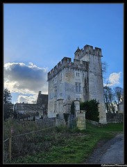 Crazannes. Charente-Maritime. France. - Photo of Taillant