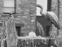 Fontaine aux oiseaux - Photo of Bruc-sur-Aff
