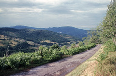 Mountain road