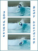Triptych 6th Place 360 Degree Bodyboarding Tracey Hodges - Sleep Trophy 2023/2024