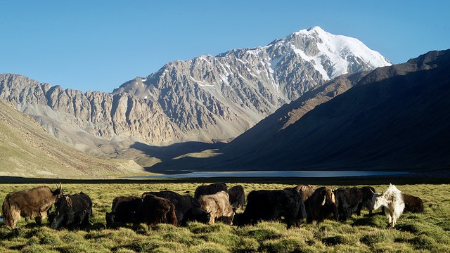 Traum-Trekkinglandschaft im südlichen Pamir – Sonderreise nach Tadschikistan und Kirgisien mit Bruno Baumann.