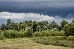 A storm is coming - Photo of Souffelweyersheim