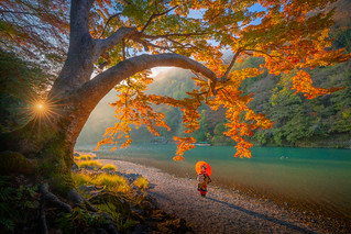 Japan Autumn Dream