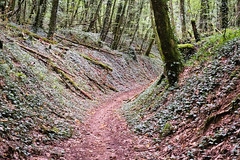 RedRock MTB trail Haard red near Tétange - Photo of Escherange