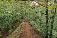Ellergronn RedRock MTB trail - Photo of Escherange