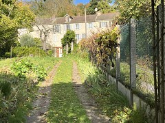 Photo Épiais-Rhus