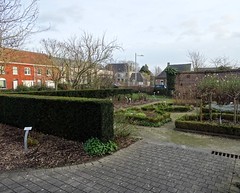 Jardin du Curé Paul Colery Leers-Nord  (2)