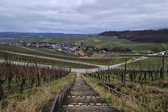 Moselle vineyards near Schengen - Photo of Fixem