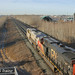 CN Citirail and 2886 pulling Grain out of Bissel Yard