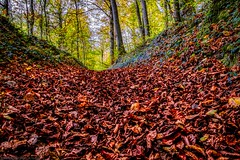 Autumn Photowalk @ Tëtelbierg - Photo of Longwy