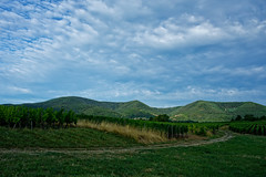 Alsace countryside - Photo of Heiligenberg