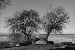 Le hameau de Longuerac - The hamlet of Longuerac - Photo of Doville