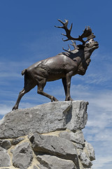 Newfoundland Regiment Memorial. Beaumont-Hamel, France. 13-7-2022