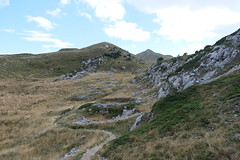 Thoiry - Photo of Coyrière
