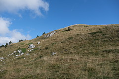 Thoiry - Photo of Coyrière