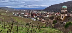 Kaysersberg with vineyards and Rhine Valley, Eglise Ste Croix 13C with 19C tower, Alsace, France