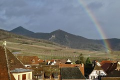 Rainbow over vineyards and 3 castles, Vosges and Hunawihr, Alsace, France