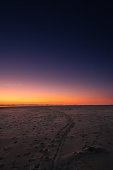 On the way of light - Photo of Jard-sur-Mer
