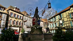 Ribeauvillé, Christmas trees on Place de la Republique, Alsace, France - Photo of Rodern