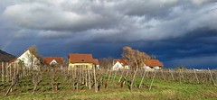 Storm over Rhine Valley near Bergheim, Alsace, France - Photo of Hunawihr