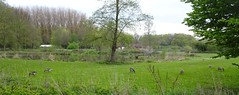 Willems, Base loisirs des 6 Bonniers (panoramique) (2) - Photo of Leers