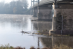 La Loire n’est pas un long fleuve tranquille - Photo of Germigny-des-Prés