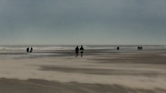 Beach walkers braving the storm. - Photo of Zuydcoote