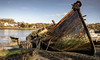 Hooe Lake hulk by Mike Bond
Sony A7R4 with 16-35mm F4 ZA OSS - Wembury Beach & Hooe Lake