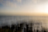 Wembury Beach by Alex Hamer
Intentional Camera Movement (ICM)
Sony A1 - lens unknown - Wembury Beach & Hooe Lake