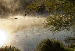 Lake at morning - Photo of Schaeffersheim