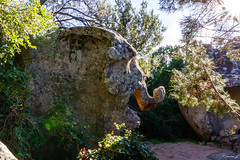 Le sentier du patrimoine de Monaccia-03 - Photo of Figari