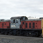 DSC 2475, Dunedin, NZ.
